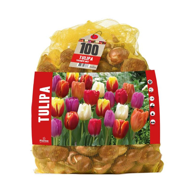 Tulpen Triumph mix - 80 stuks