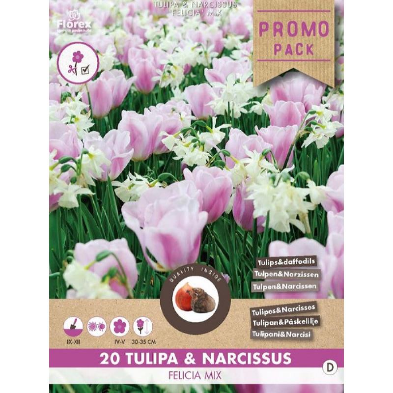 Pack vrac Felicia mix Tulipe &amp; Jonquille 20 pièces