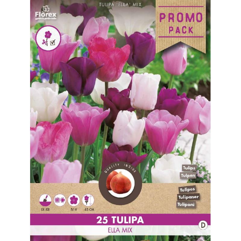 Pack vrac Tulip Ella mix 11/12 25 pièces