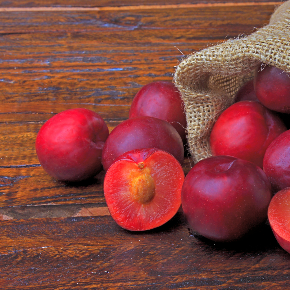 Plum tree 'The Czar'