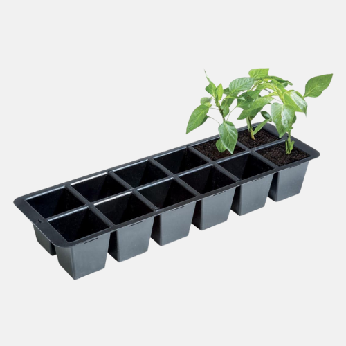 Kleine zaaitray 12 gaten hard kunststof - 36,5x13x6 cm (set van 2)