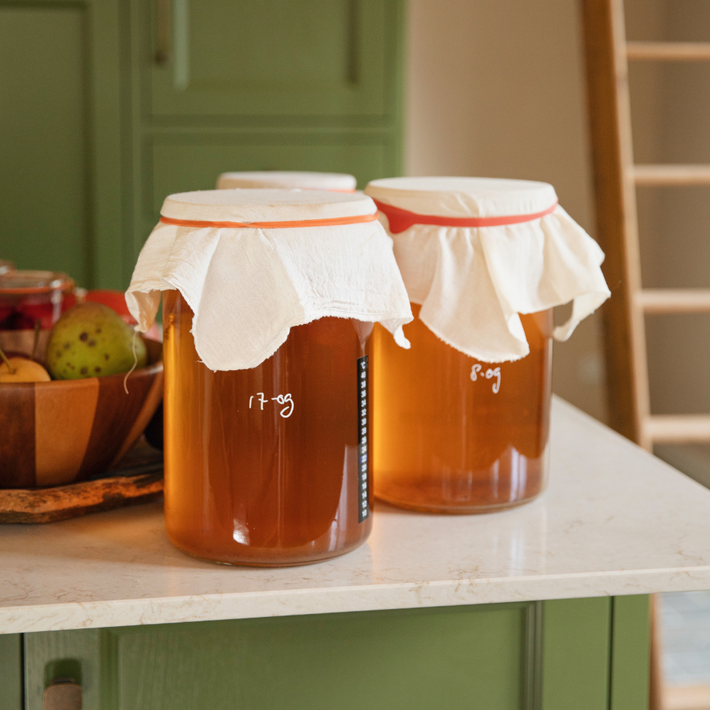 Liquide de démarrage Kombucha - Kombucha BIO 1 litre