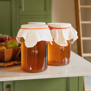 Liquide de démarrage Kombucha - Kombucha BIO 1 litre