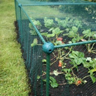 Cage de 62,5 cm de haut sur 1 m de large avec maille grossière anti-insectes (contre les papillons, mouches de l'oignon, du chou et de la carotte) (Choisir la longueur)