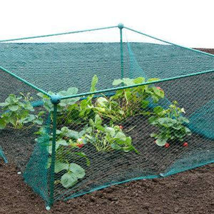 Cage de 62,5 cm de haut sur 1m25 de large avec maille grossière anti-insectes (contre les papillons, mouches de l'oignon, du chou et de la carotte) (Longueur au choix)