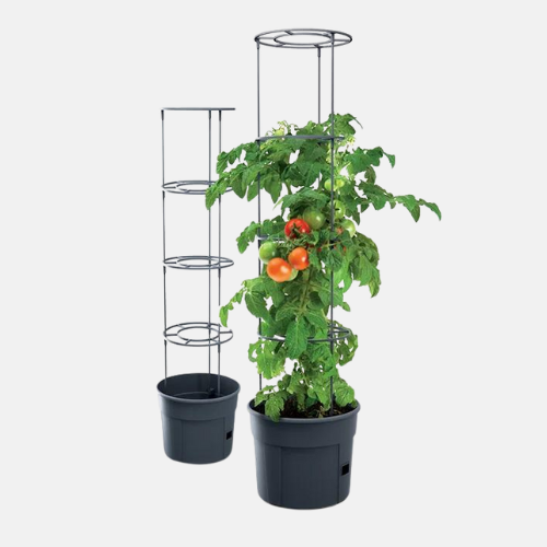 Anzuchttopf für Tomaten mit Wachstumsunterstützung 28L