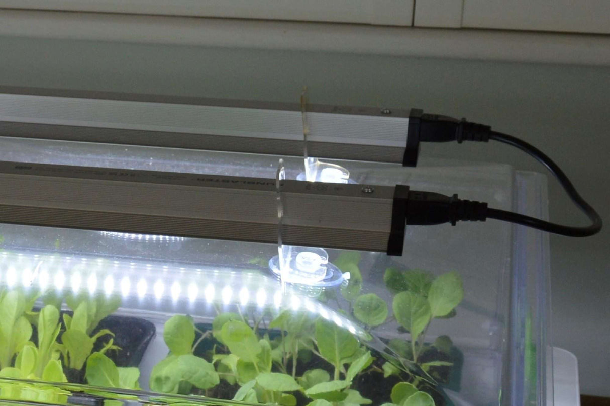 Propagator Vitopod 50W verwarmd met thermostaat en 2 LED groeilampen 60 cm (kies hoogte)