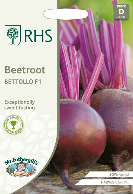 Rote Bete Bettollo F1 – 150 Samen