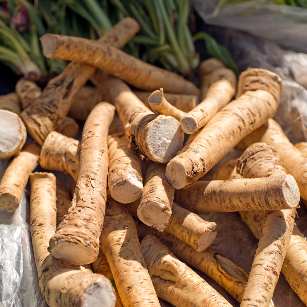 Raifort Raifort en pot 9 cm Armoracia rusticana