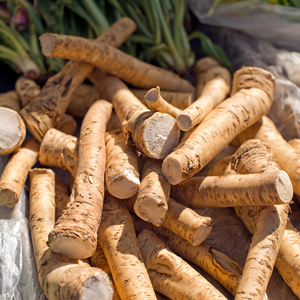 Raifort Raifort en pot 9 cm Armoracia rusticana