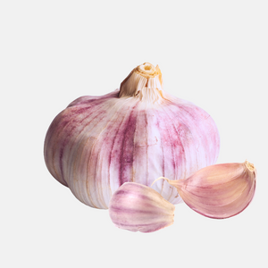 Plantknoflook paars 'Morado' (hardneck) BIO - 3 bollen