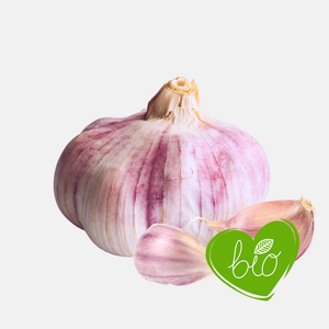 Plantknoflook paars 'Morado' (hardneck) BIO - 3 bollen