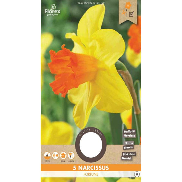 Narcis Grootkronig Fortune - 5 stuks