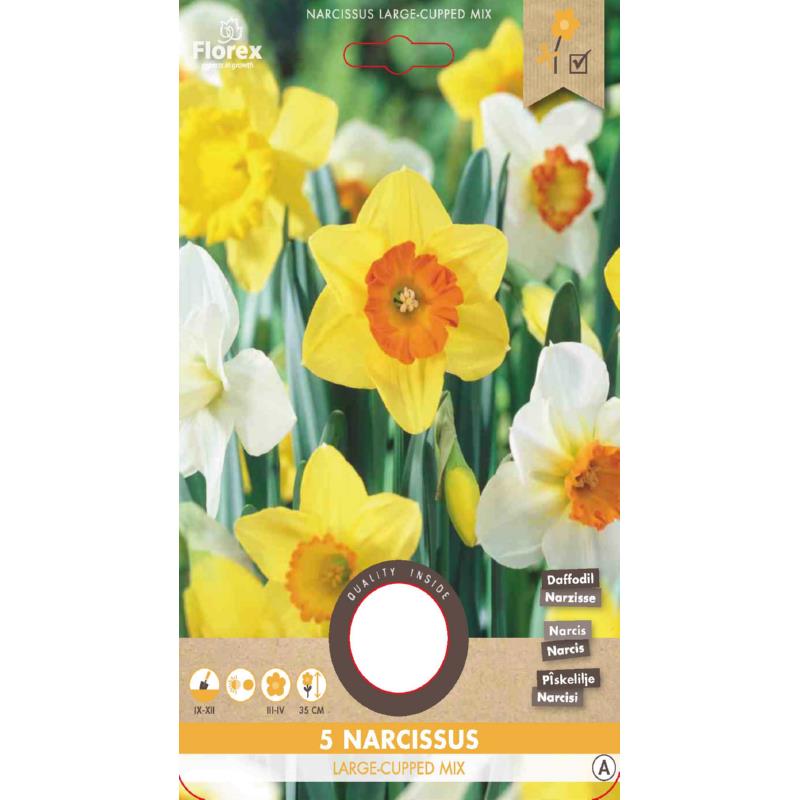 Narcis Grootkronig mix - 5 stuks