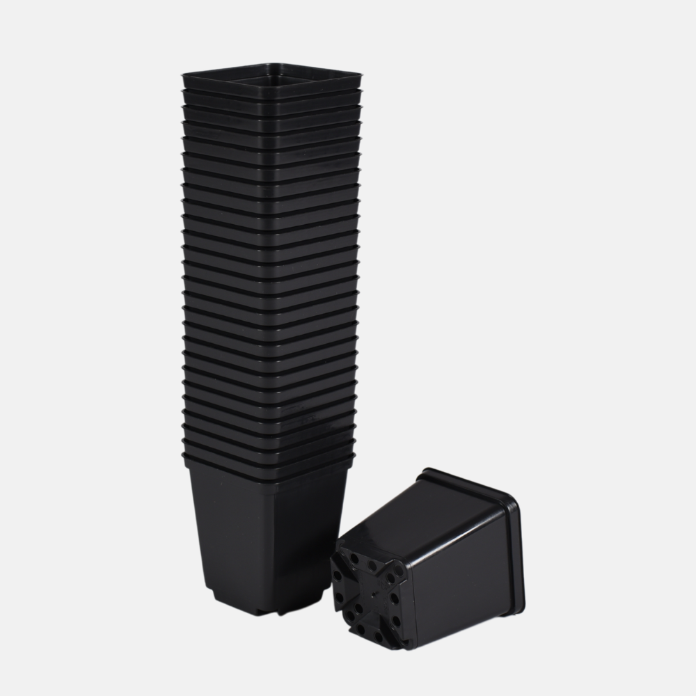 7cm plant pot P7 pot sturdy plastic (choose quantity) – PLUKKERS