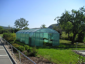 Tunnelserre Elegant folietunnel 4m20 meter breed (kies lengte) geleverd