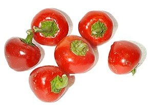 Pfeffer mild scharf Hot Tomato im Topf runder Pfeffer 5000-8000 Scoville