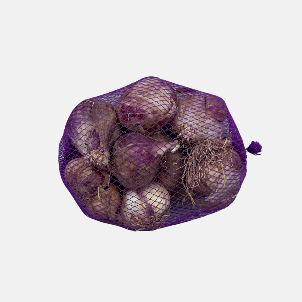 Plantknoflook paars - Violet Germidour (kies aantal bollen)