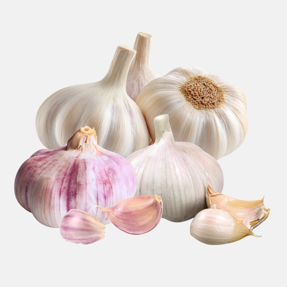 Plantknoflook gemengd BIO - 9 bollen