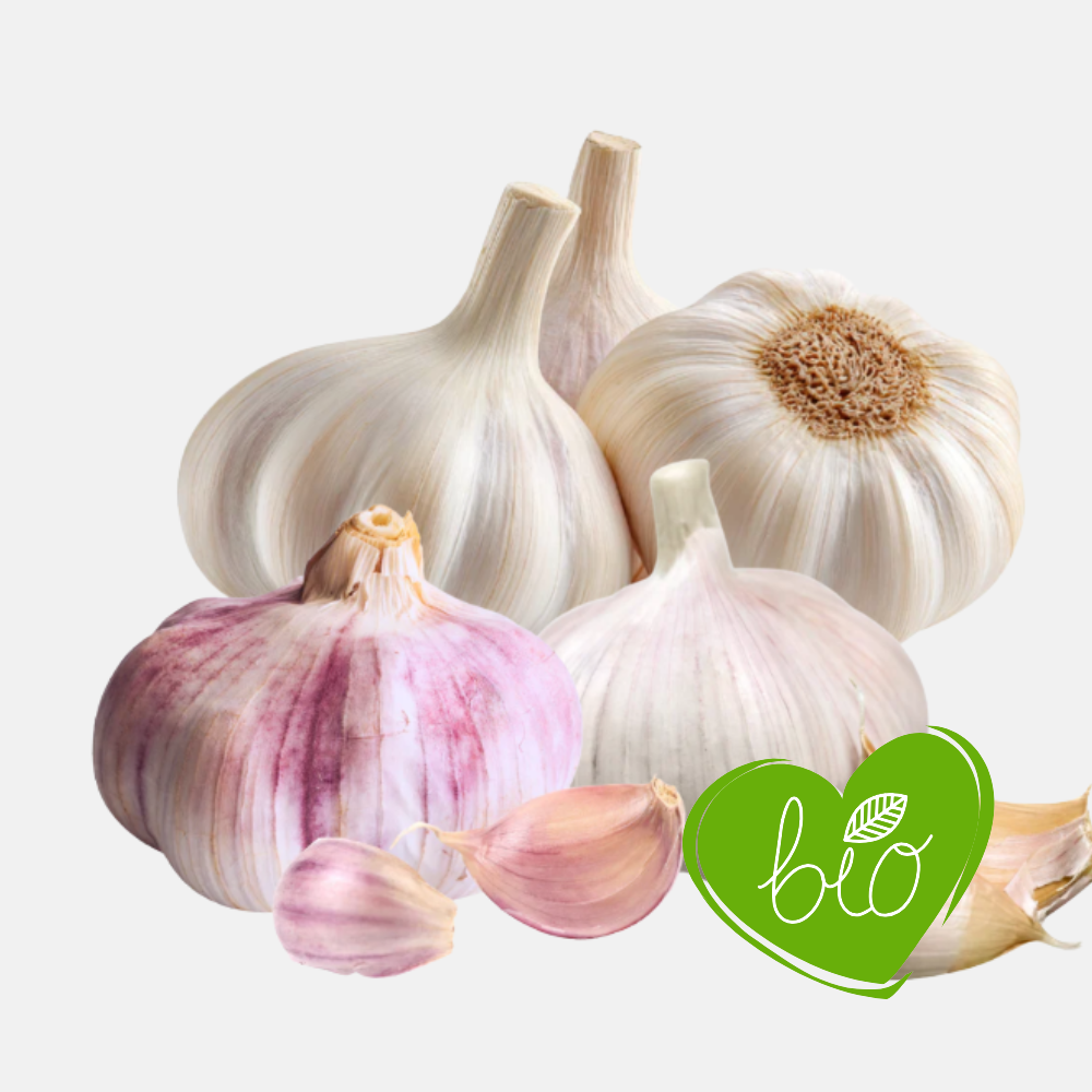 Plantknoflook gemengd BIO - 9 bollen
