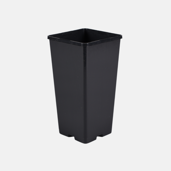 2l plant pots Plant pot 2 liters – PLUKKERS