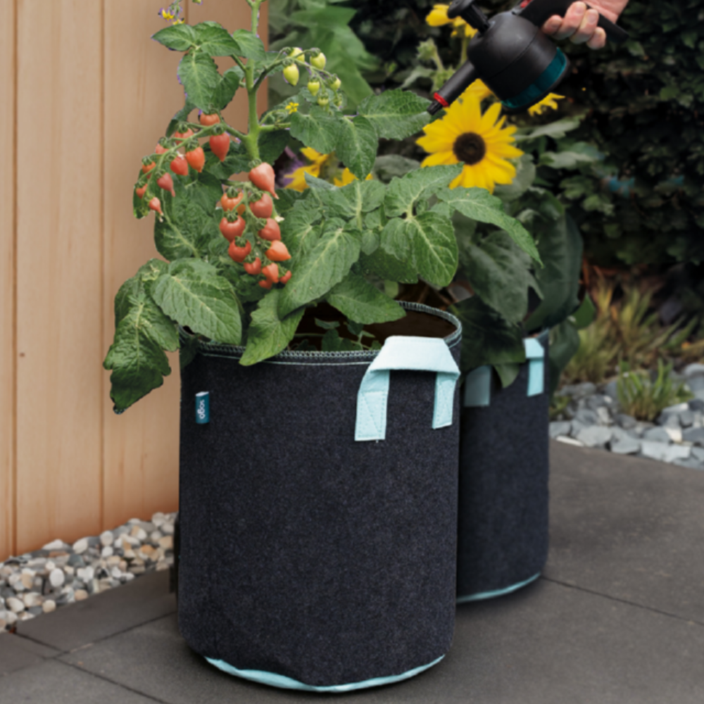 Vegetable plant bags 24 litres (3 pieces)