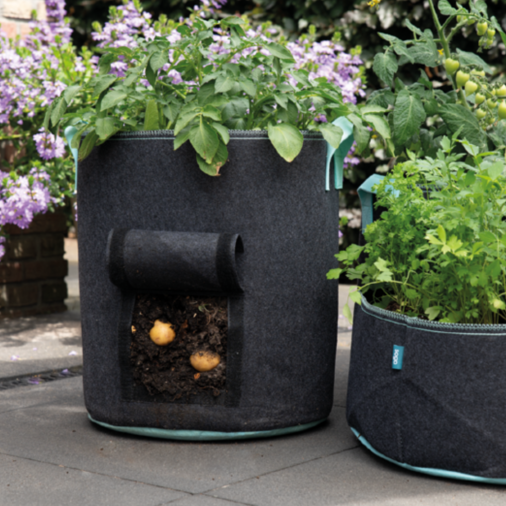 Sac de plantation pour pommes de terre avec fenêtre 55ltr 