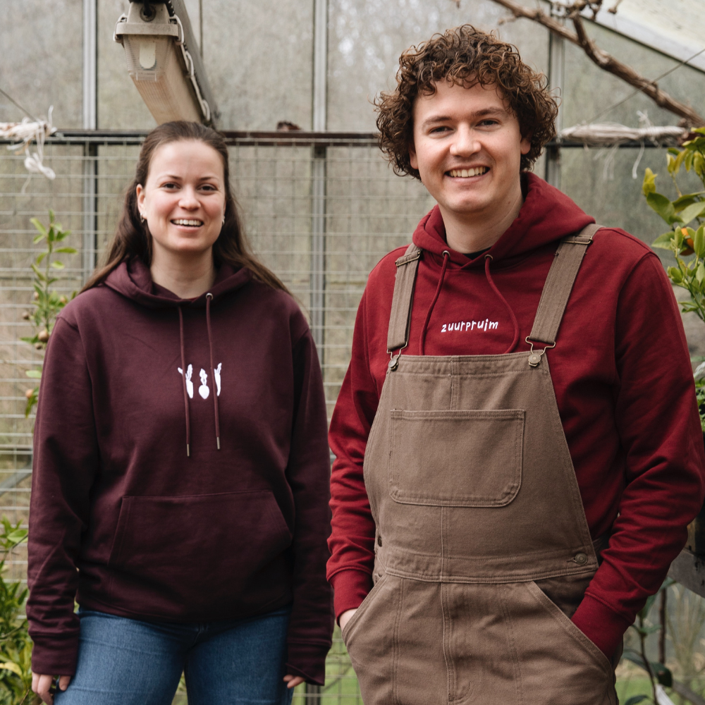 Sweater - Embroidered Carrots