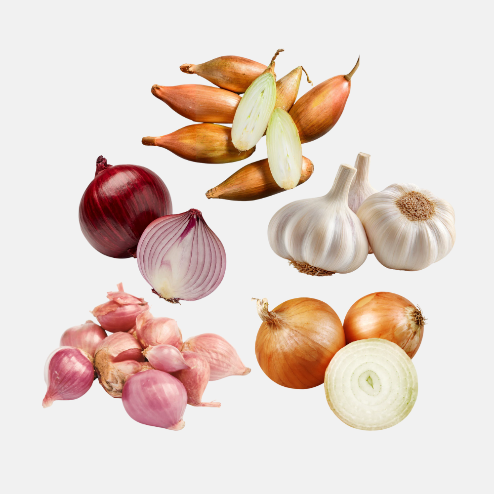 Pootgoed pakket - Uien, sjalotten en knoflook