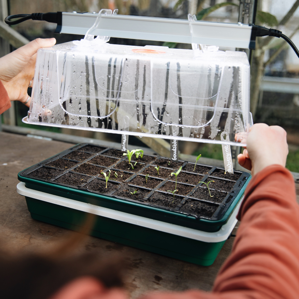 Kompakter elektrischer Propagator – One Top – ohne Thermostat 