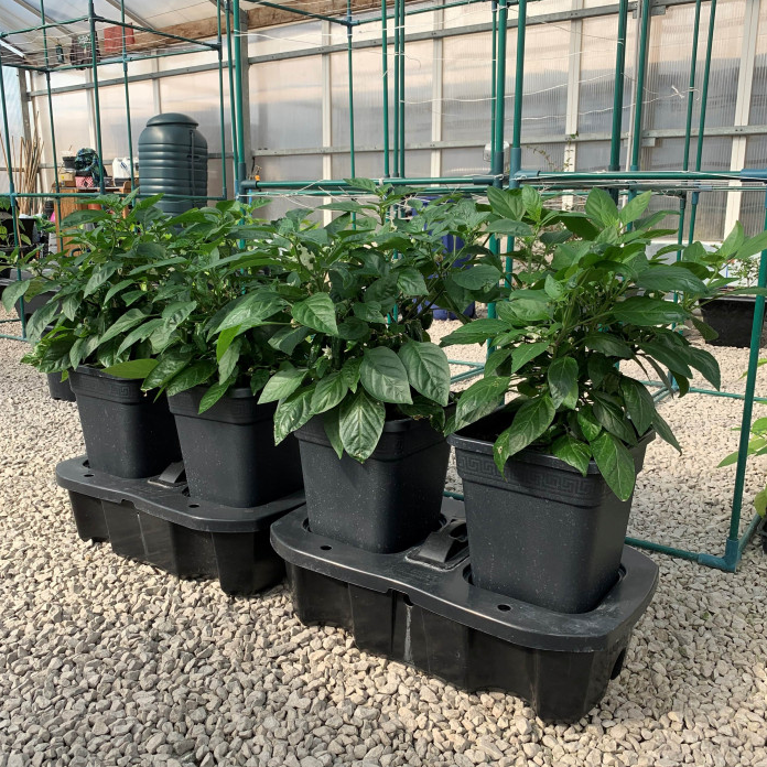 Quad Grow Planter - Slimme kweekbakken met watersysteem en voeding (zie opties)