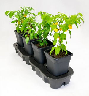 Quad Grow Planter - Slimme kweekbakken met watersysteem en voeding (zie opties)