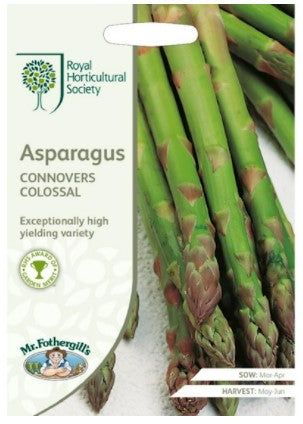 RHS Asperges Connover's Colossal