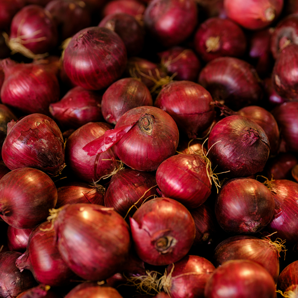 Plant onion winter Red Arrow 250 Gram +/- 70 pcs