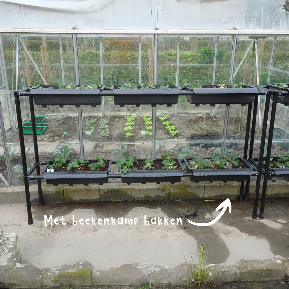 Rack for 8 BATO containers - strawberry rack