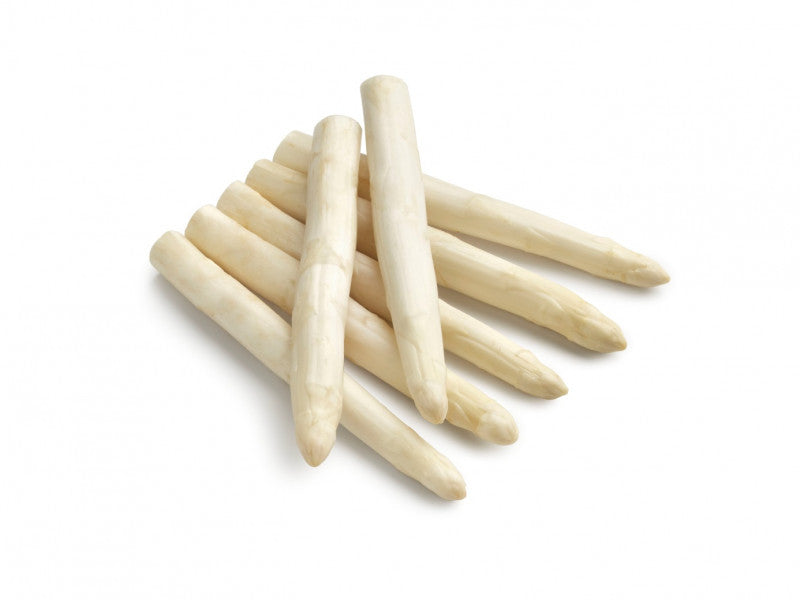 Asperge plant GROLIM voor teelt witte asperges (kies hoeveelheid)