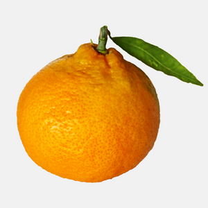 Satsuma mandarijn - Citrus unshiu