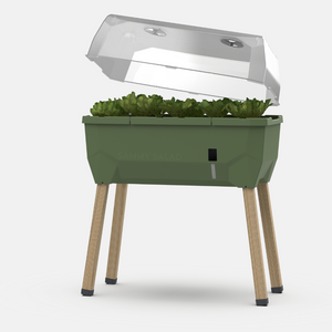 SAMMY SALAD - boîte d'élevage intelligente avec réservoir d'eau et couvercle