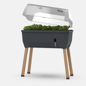 SAMMY SALAD - boîte d'élevage intelligente avec réservoir d'eau et couvercle