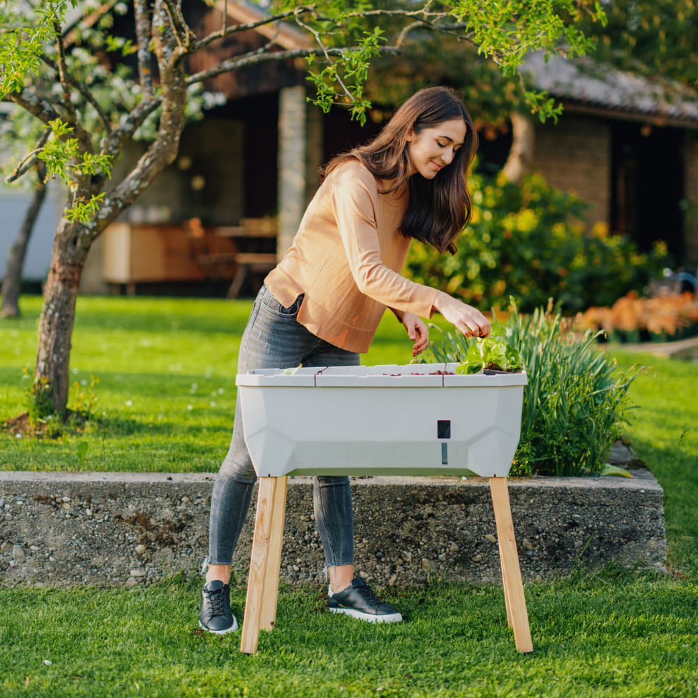 SAMMY SALAD - boîte d'élevage intelligente avec réservoir d'eau et couvercle