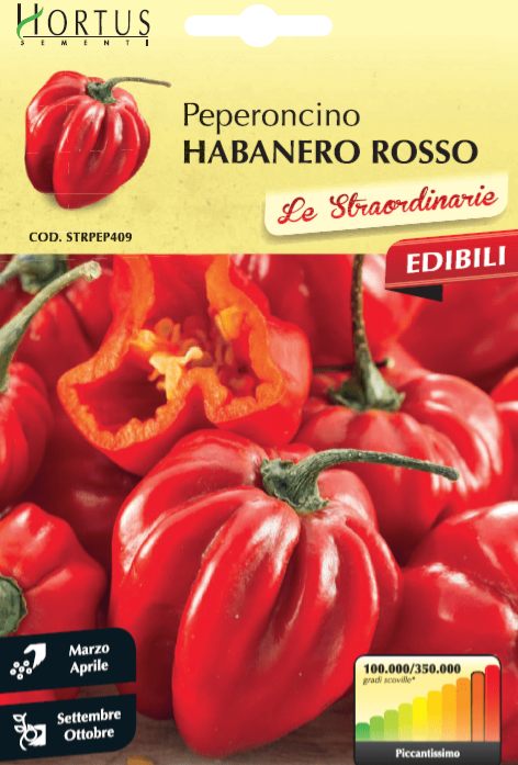 Pfeffer Habanero Rot – 300000 Scoville