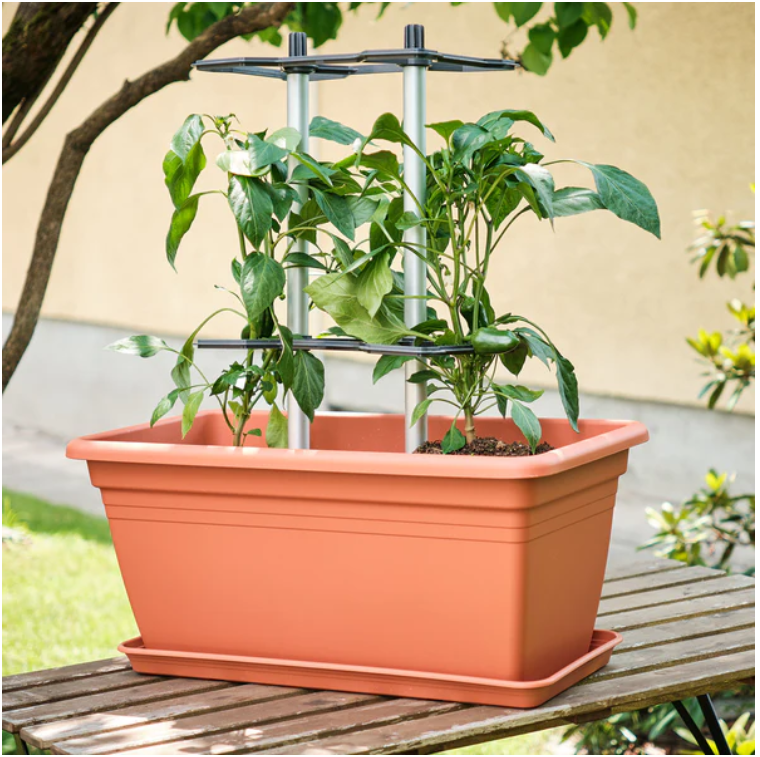 Chili Buddy - aide à l'escalade pour chaque plante de poivre (choisissez la quantité)