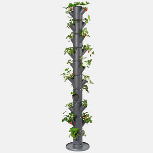 SISSI FRAISE - Infinity pour 21 plantes - 185 cm de hauteur