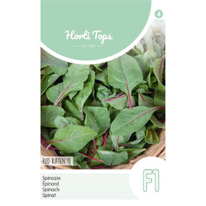 Épinards Red Kitten F1 (Horti Tops) - contenu: 4 grammes