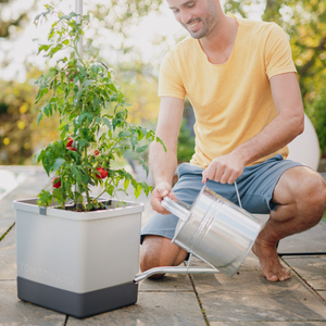 Tom Tomato - pot à tomates avec réservoir d'eau et support d'escalade