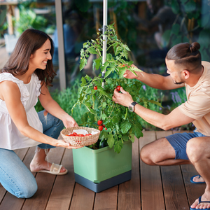 Tom Tomato - pot à tomates avec réservoir d'eau et support d'escalade