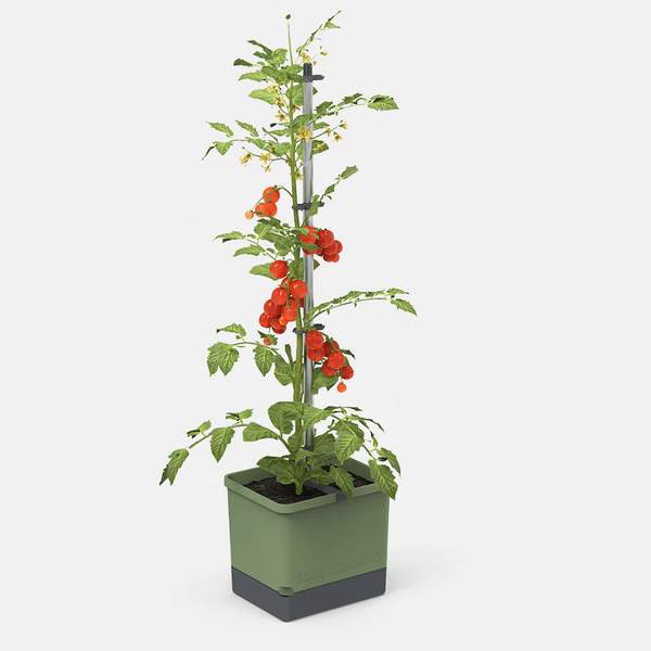 Pootstok RVS | Tuingereedschap, Robuust, Metaal | Esschert Design - De