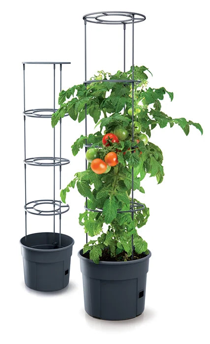 Anzuchttopf für Tomaten mit Wachstumshilfe 12 Liter (Menge wählen) 