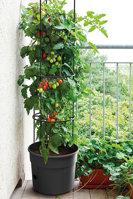 Pot de culture pour tomates avec support de croissance 12 litres (choisir la quantité) 