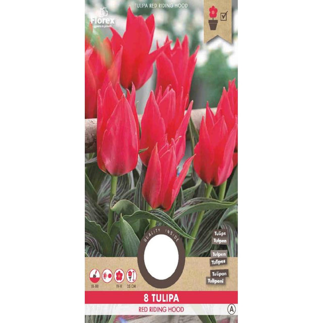 Tulp Greigii Oriental Beauty - 8 stuks